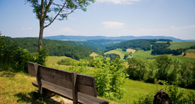 Eine Aussichtsbank neben einem Baum vor einer wunderschönen bergigen Landschaft 