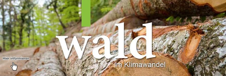 Geschlagene Baumstämme liegen an einem Waldweg, Beschriftung: Wald im Klimawandel